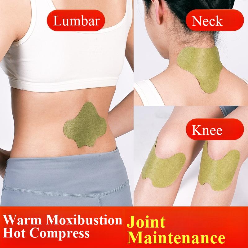 100pcs Wormwood Lumbar Patches - Yoga Health & Fitness Center ulasan dan harga