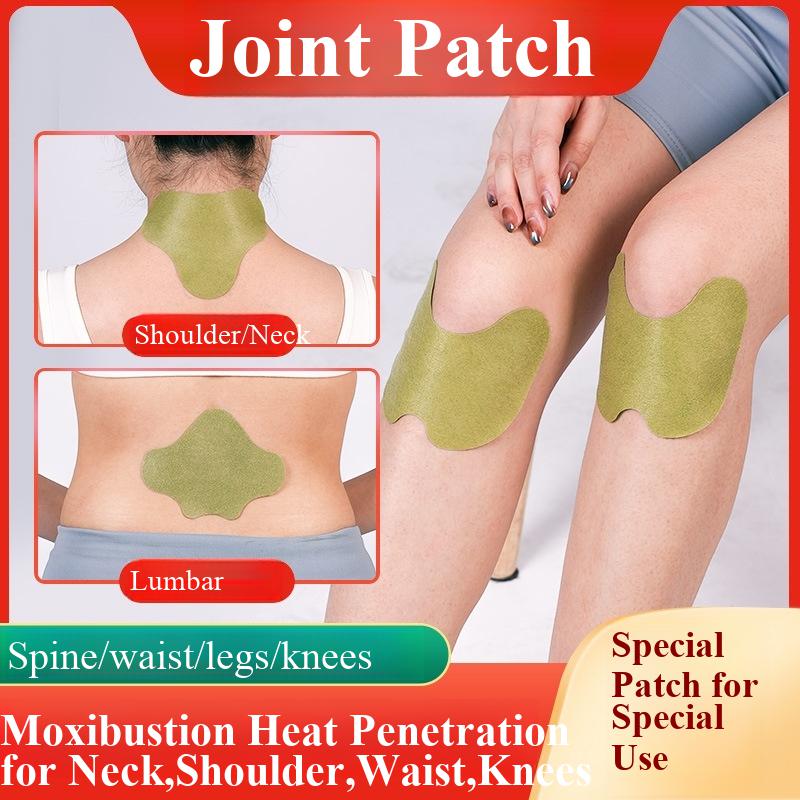 100pcs Wormwood Lumbar Patches - Yoga Health & Fitness Center ulasan dan harga